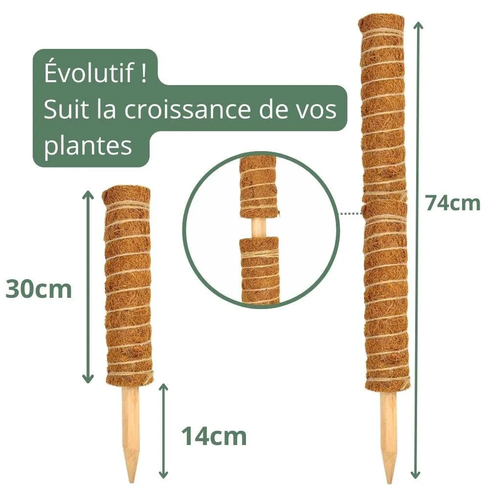 Plant and Stories Tuteurs coco plantes grimpantes lot 2 + velcro