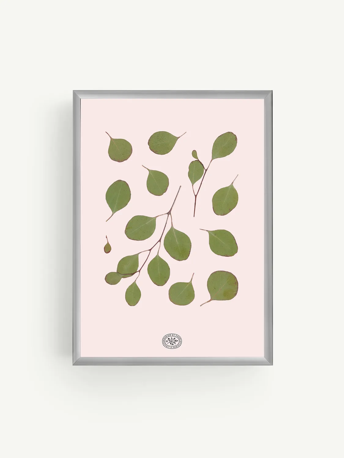 By Charlot Herbier Eucalyptus Rose tableau 21x30 rose