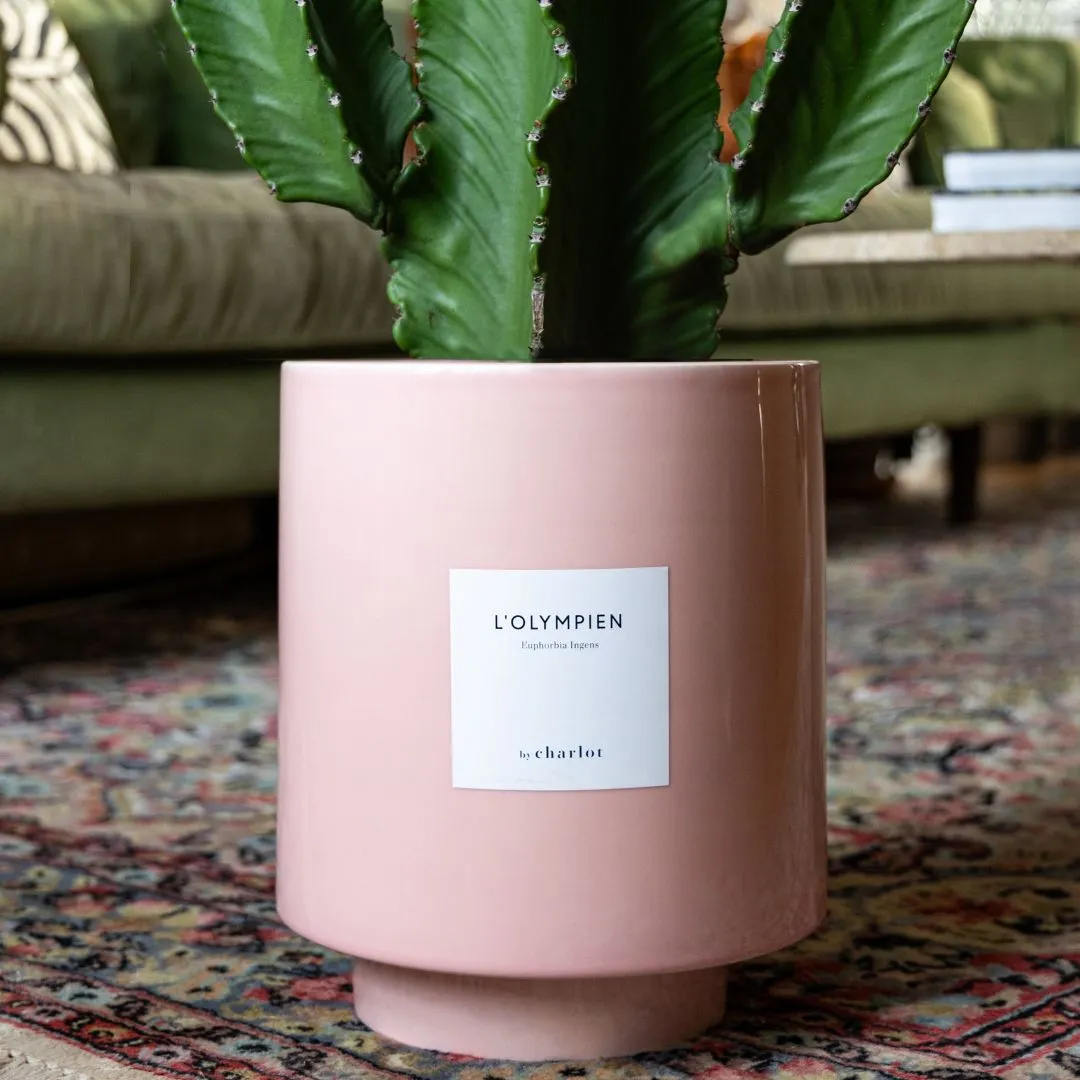 By Charlot Céramique Rose Safari cache-pot XL 24 cm
