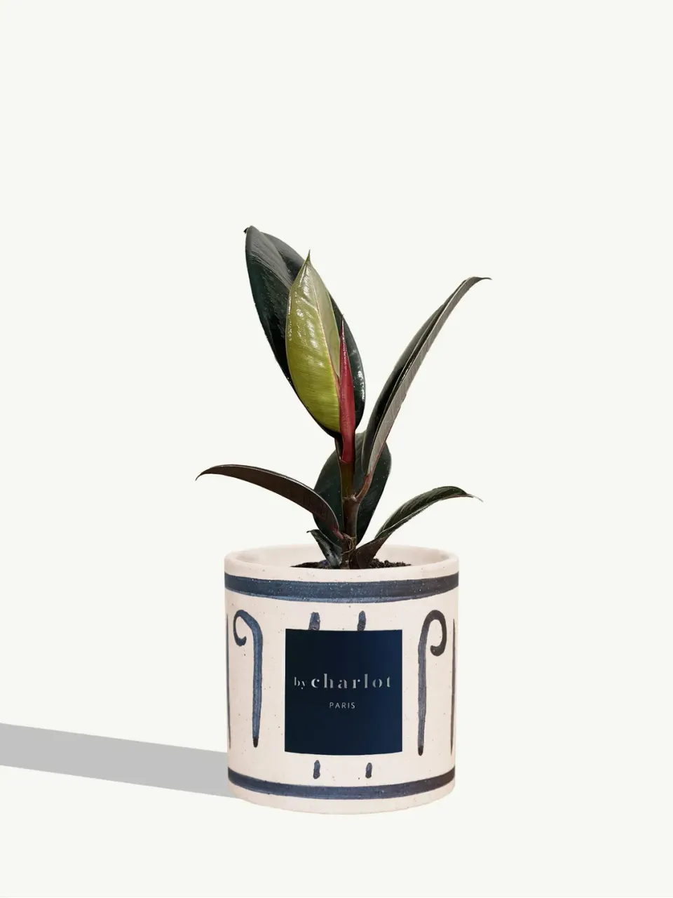 By Charlot L'Élégante plante bleu INI céramique