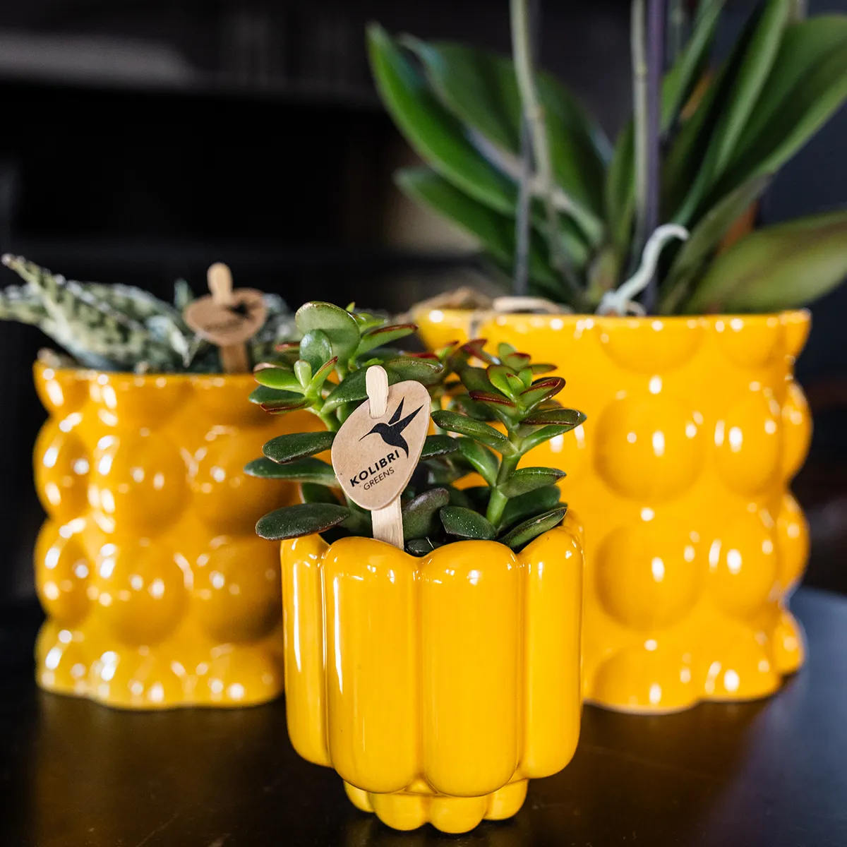 Plant and Stories Retro Shine cache-pot céramique 12 cm rouge