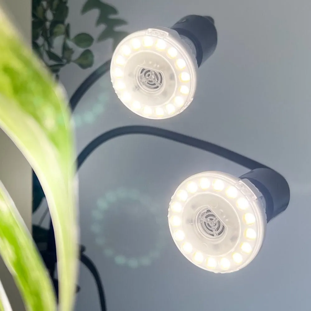 Plant and Stories Lampe horticole spectre complet 2 ampoules