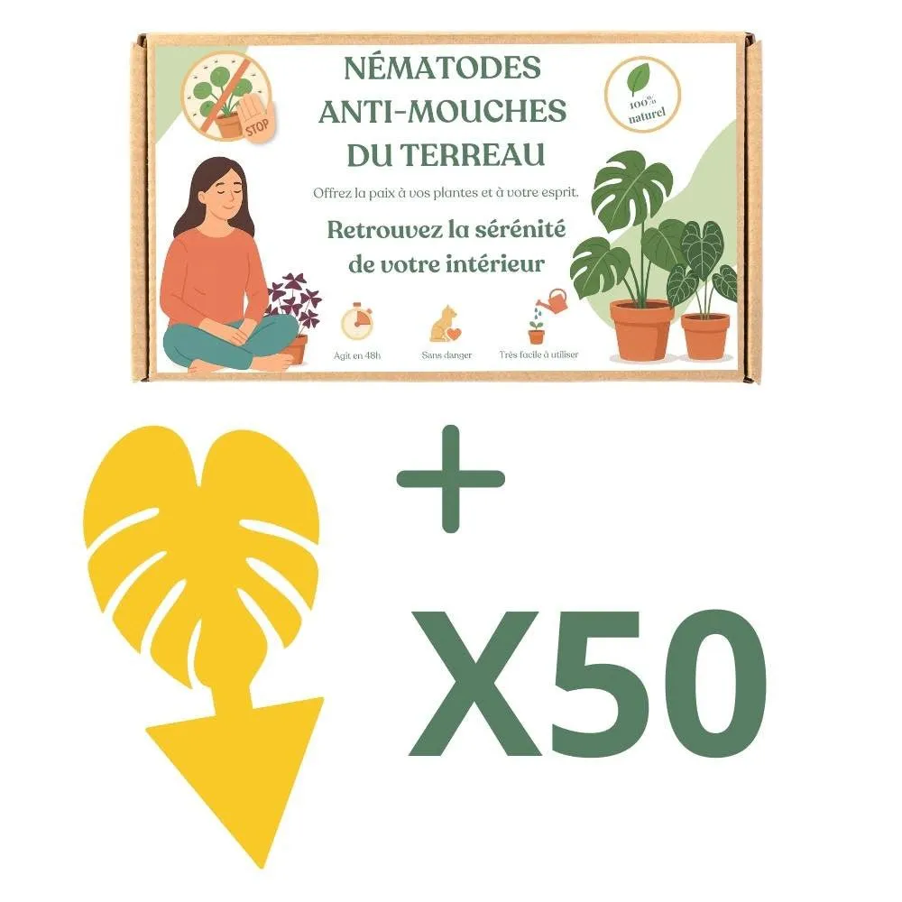 Plant and Stories Felti nématodes anti-moucherons 5 millions