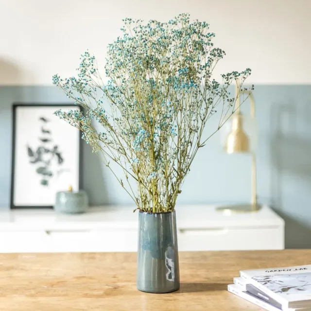 Réconciliation Végétale Gypsophile bouquet fleurs séchées 100g bleu