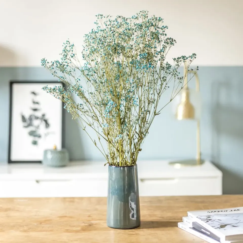 Réconciliation Végétale Gypsophile bouquet fleurs séchées 100g bleu