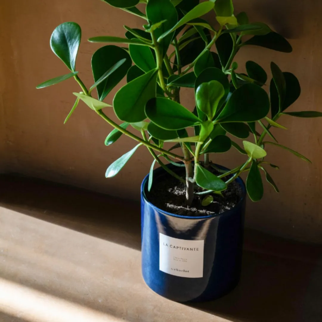By Charlot Céramique cache-pot Bleu marine 14 cm