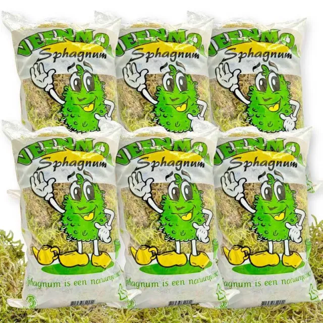PLANT AND STORIES sphaigne vivante mousse 6 sachets naturelle