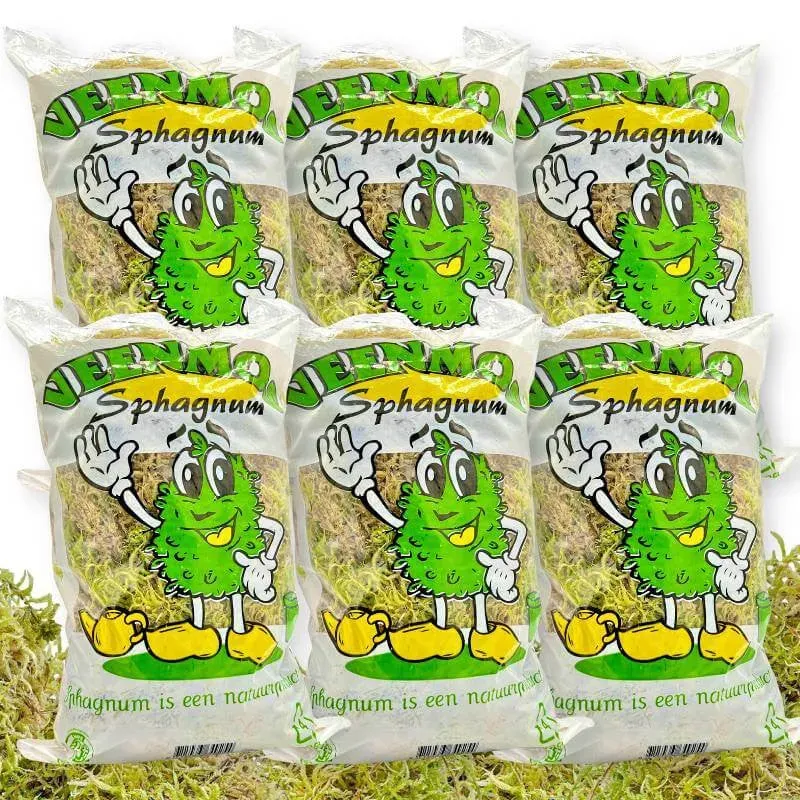 PLANT AND STORIES sphaigne vivante mousse 6 sachets naturelle
