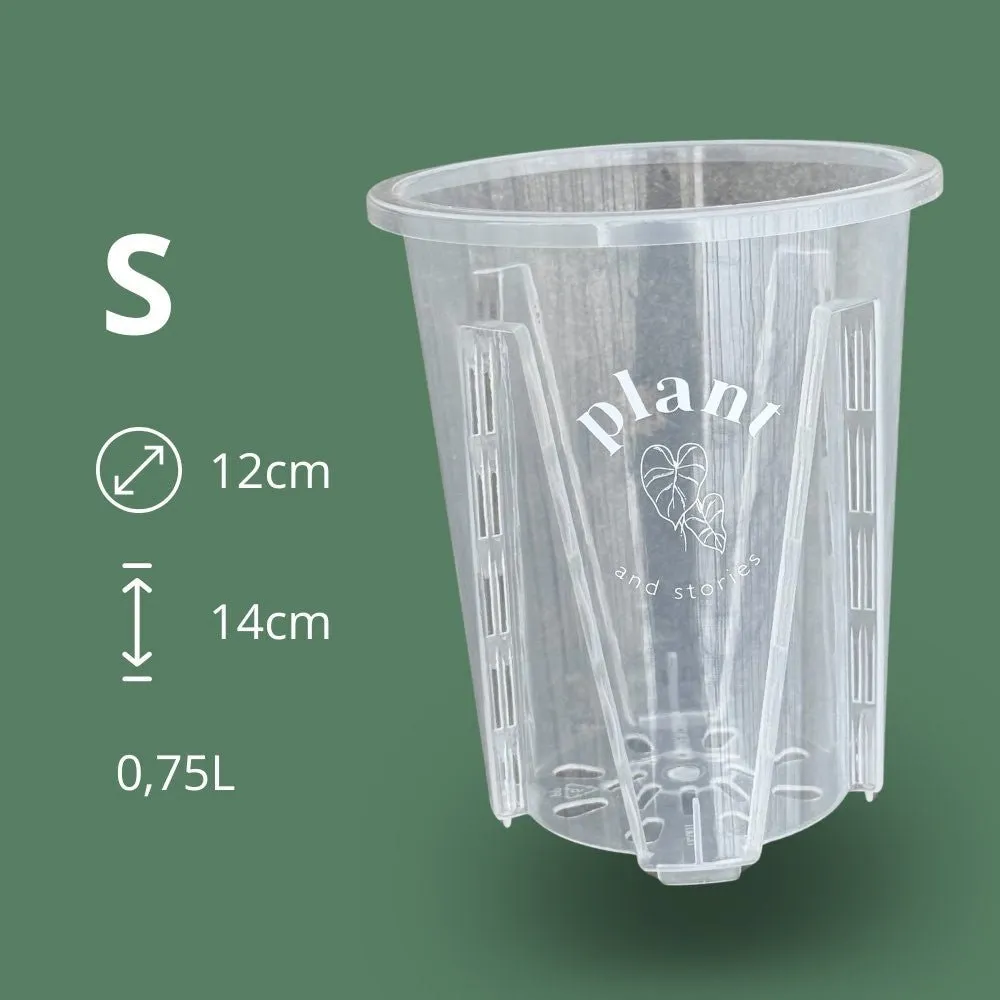 Plant and Stories Aracées pot transparent 12cm lot 5 drainage