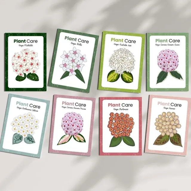 Plant and Stories Collection Hoya cartes stickers herbier