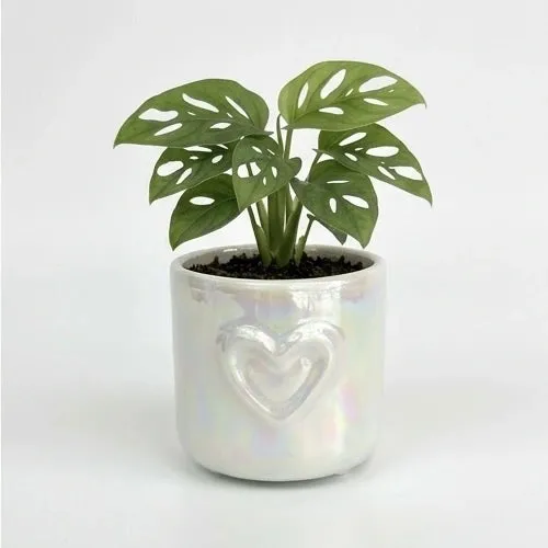 Plant and Stories Coeur cache-pot céramique 6cm blanc nacré