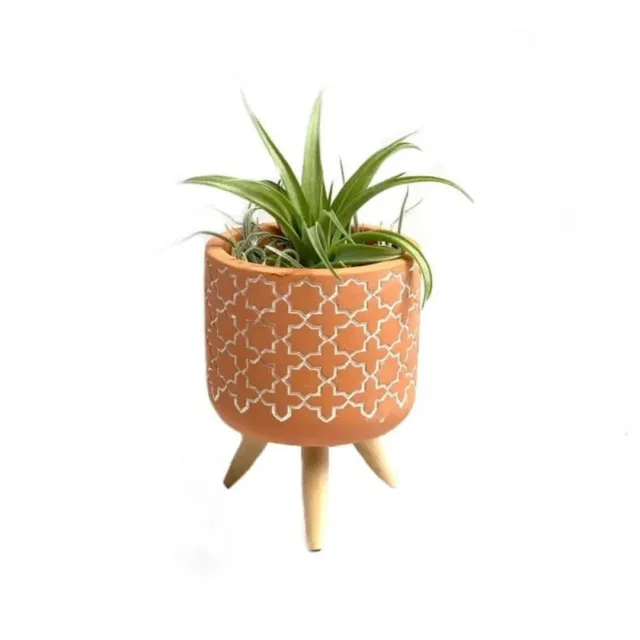 Airplantshop Cementpotje pot ciment terracotta motif croix