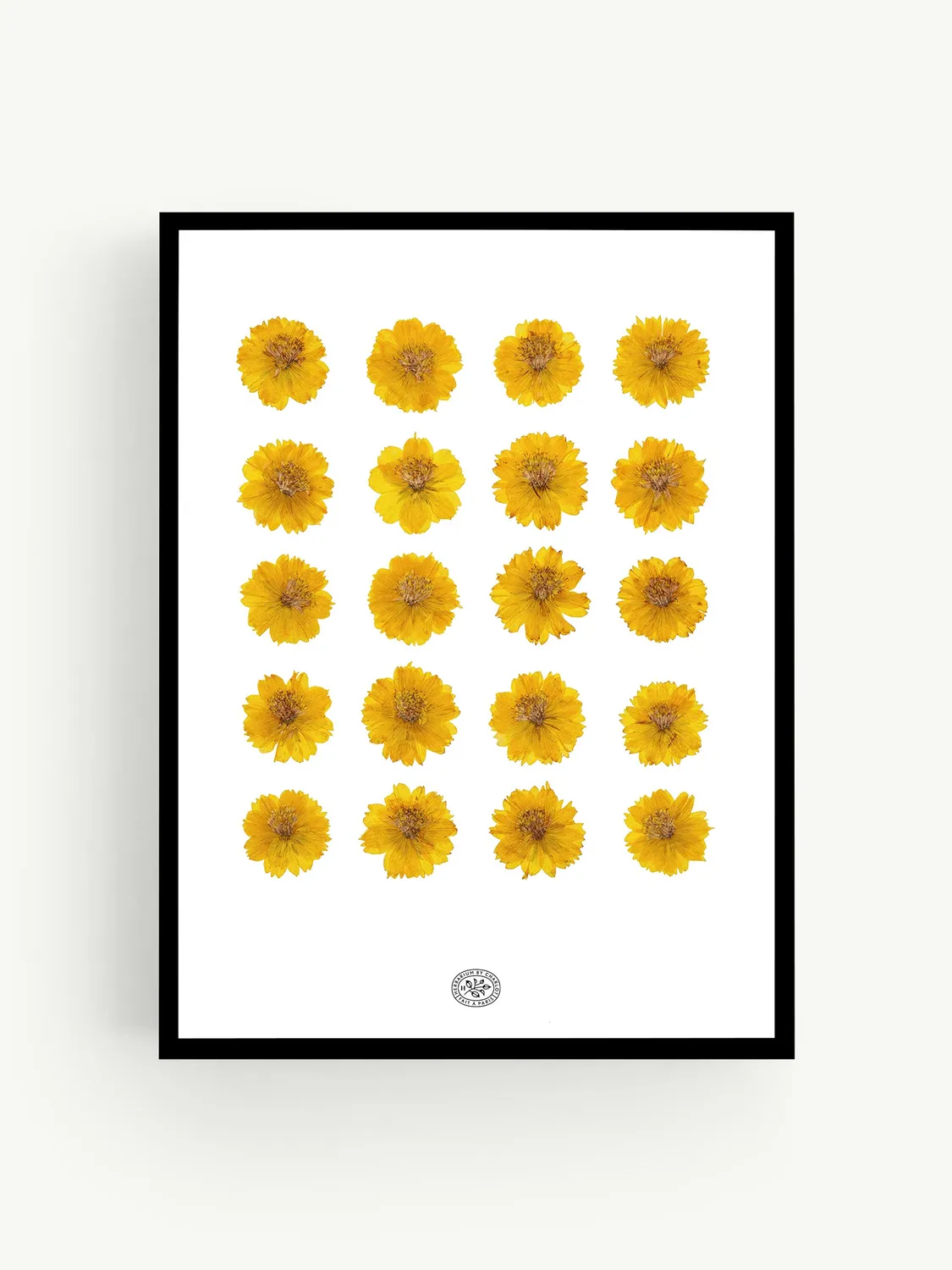 By Charlot Herbier Léo cadre 30x40 cosmos