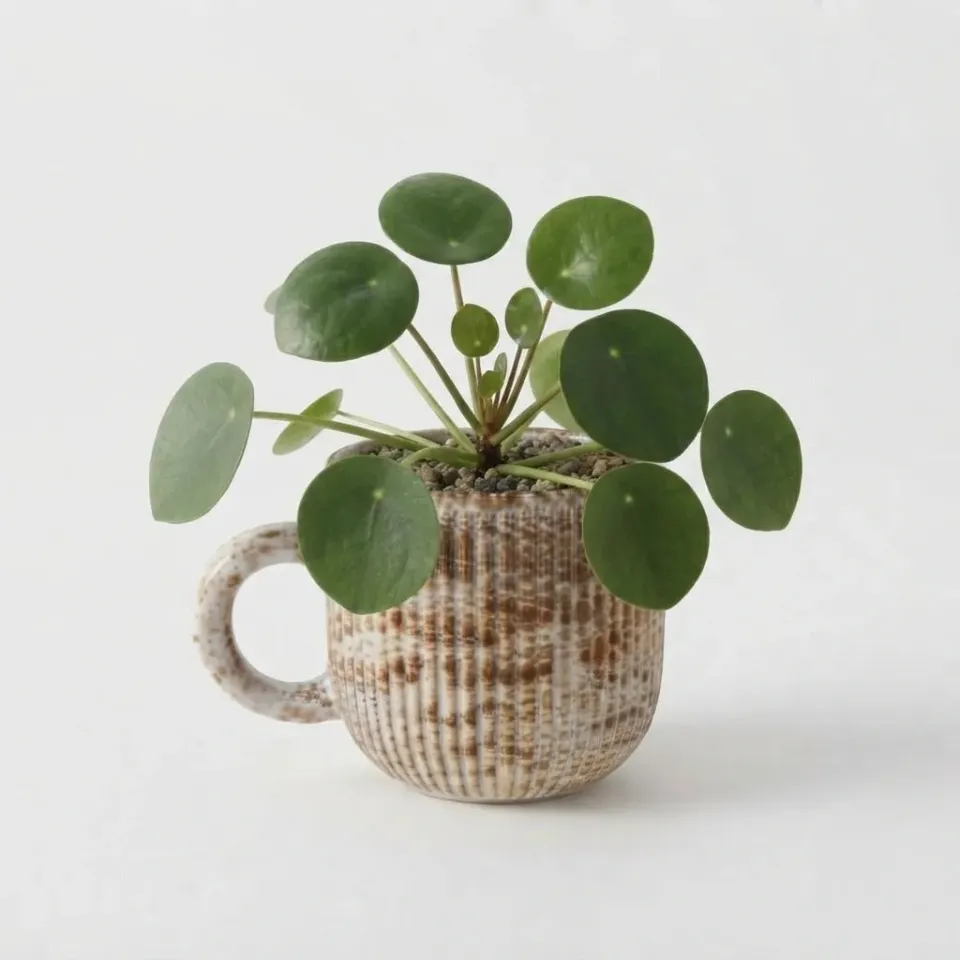 Plant and Stories Tasse Vintage cache-pot céramique 6 cm rétro