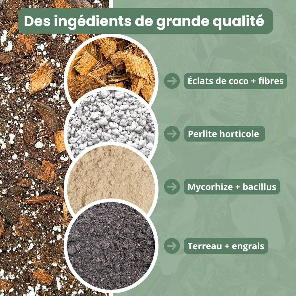 Plant and Stories terreau monstera substrat aracées 4L mycorhizes