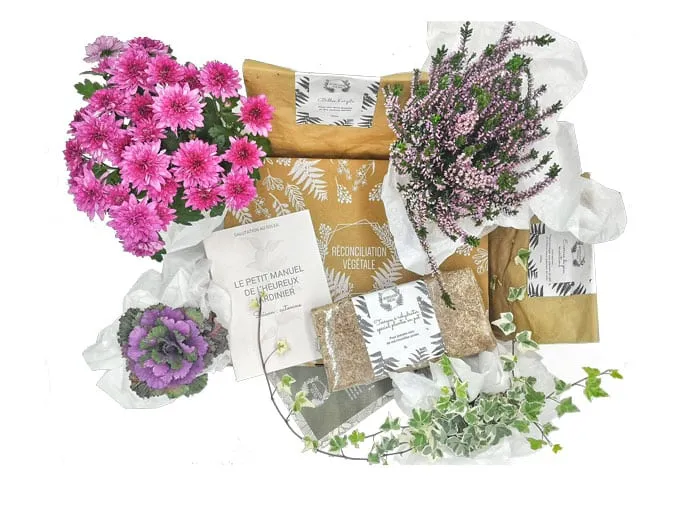 Réconciliation Végétale kit jardinage balcon ombragé 4 plantes
