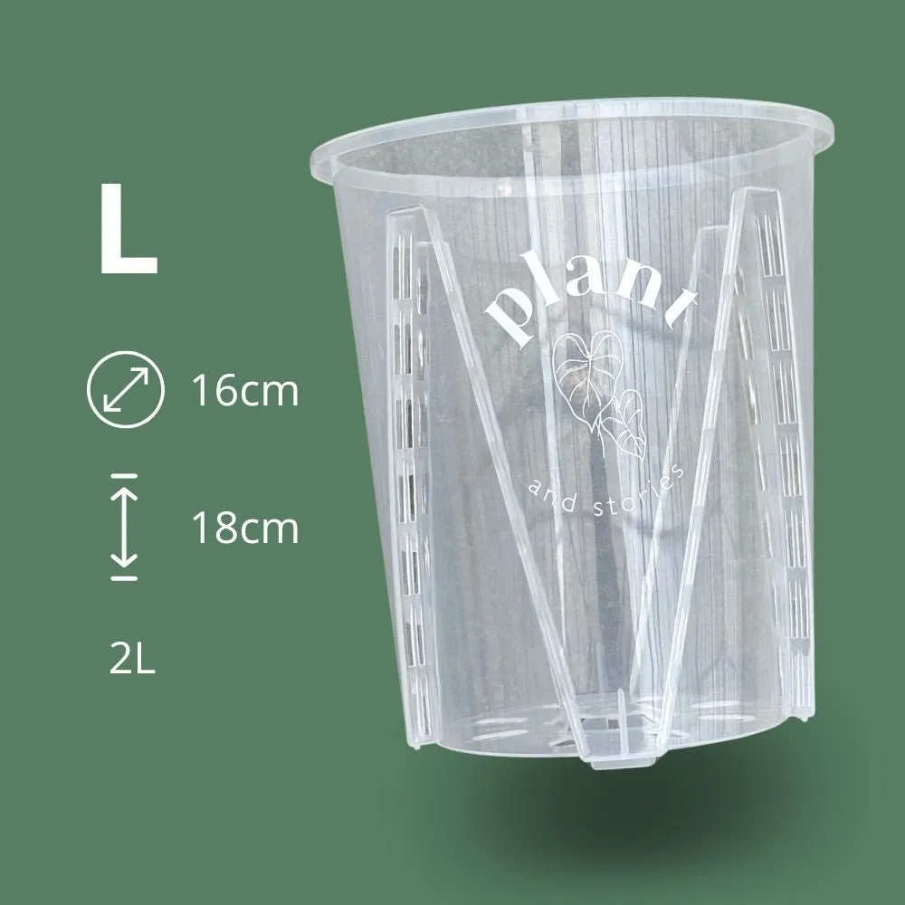 Plant and Stories Aracées pot transparent 12cm lot 5 drainage