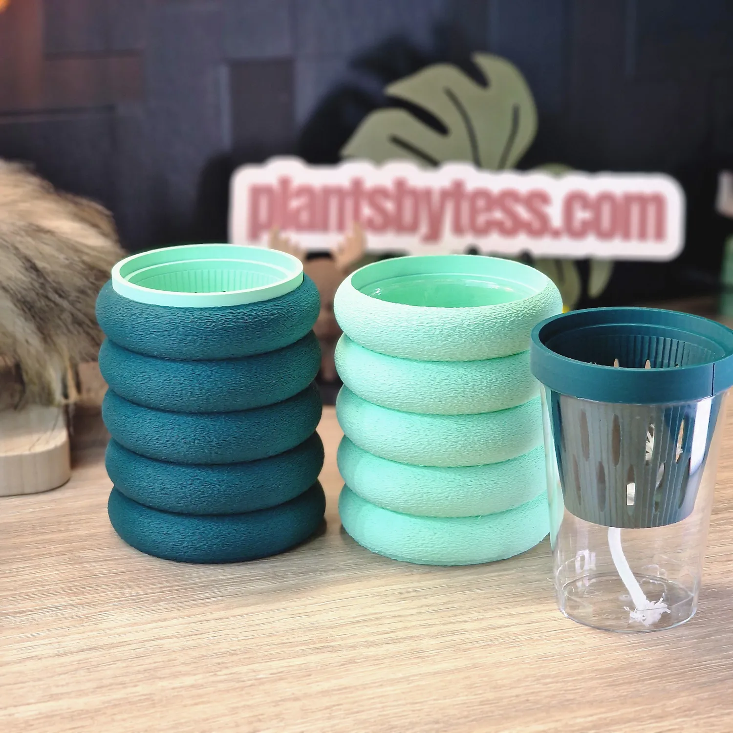 plant.ess Marshmallow Midi Sips pots auto-arrosants roses lot 2