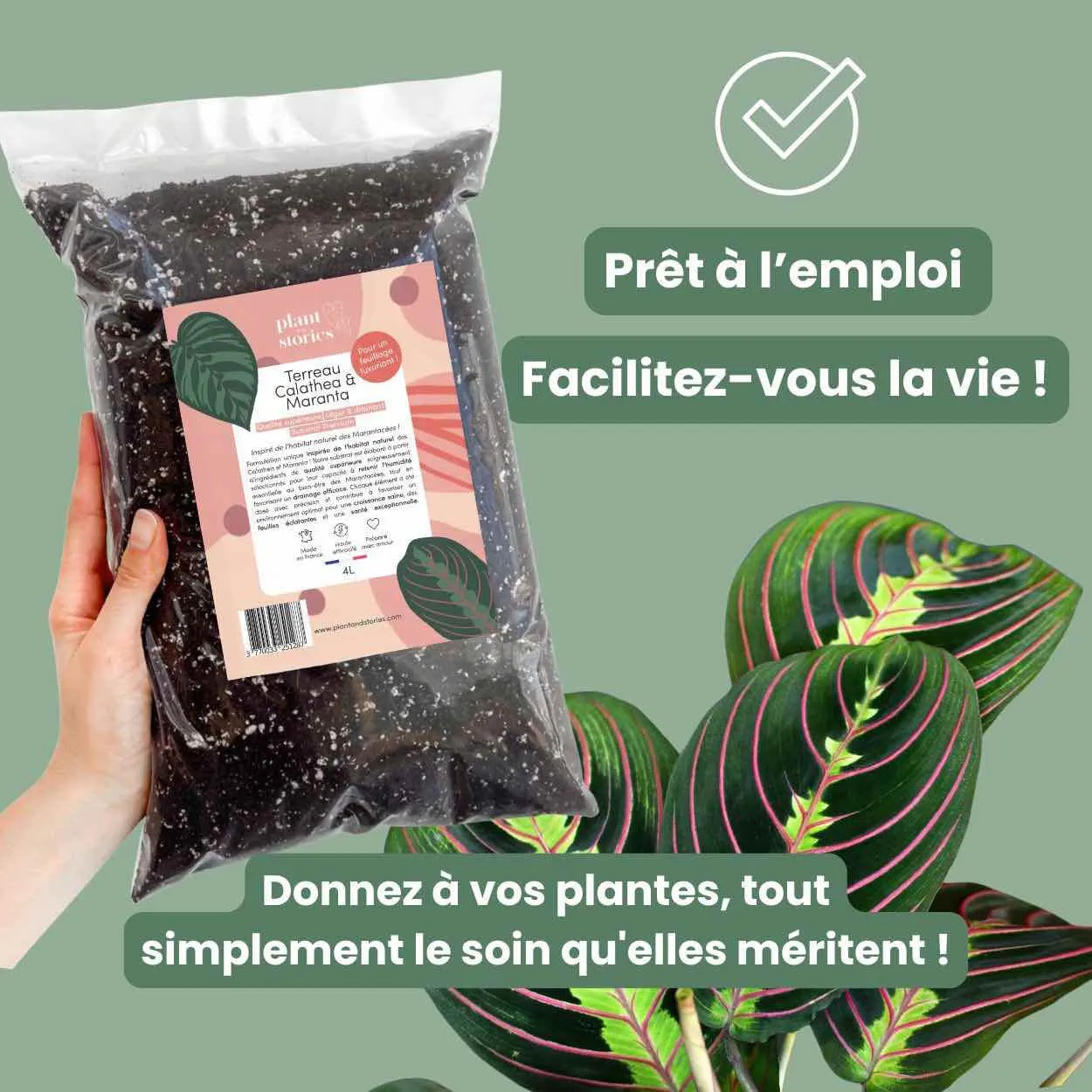 Plant and Stories Terreau Calathea Maranta Premium mycorhizes