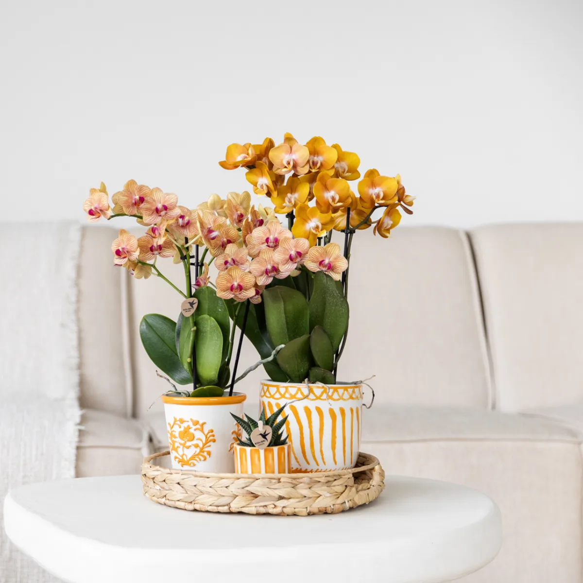 Plant and Stories Painted Stripe cache-pot céramique jaune 9 cm