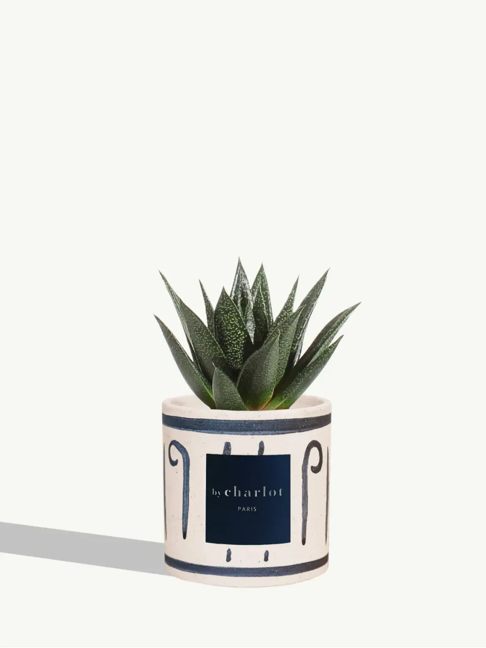 By Charlot Le Fougueux plante céramique INI bleue