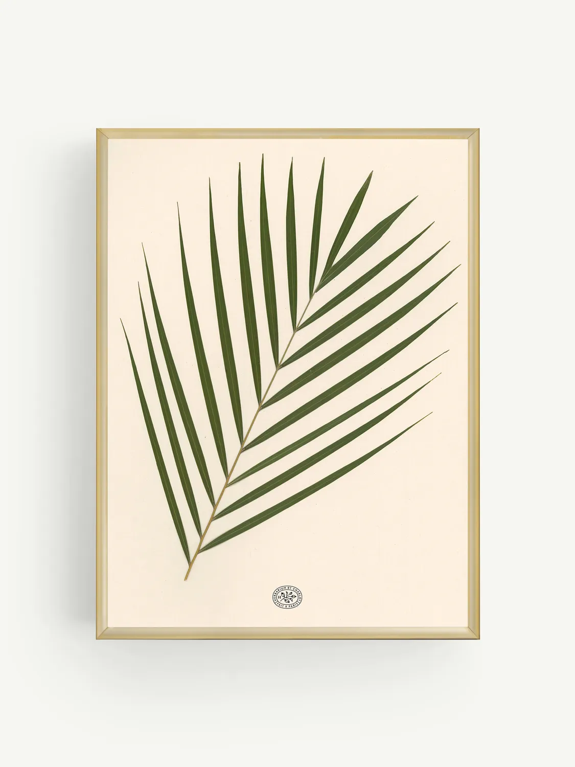 By Charlot herbier Palmier fond beige 30x40