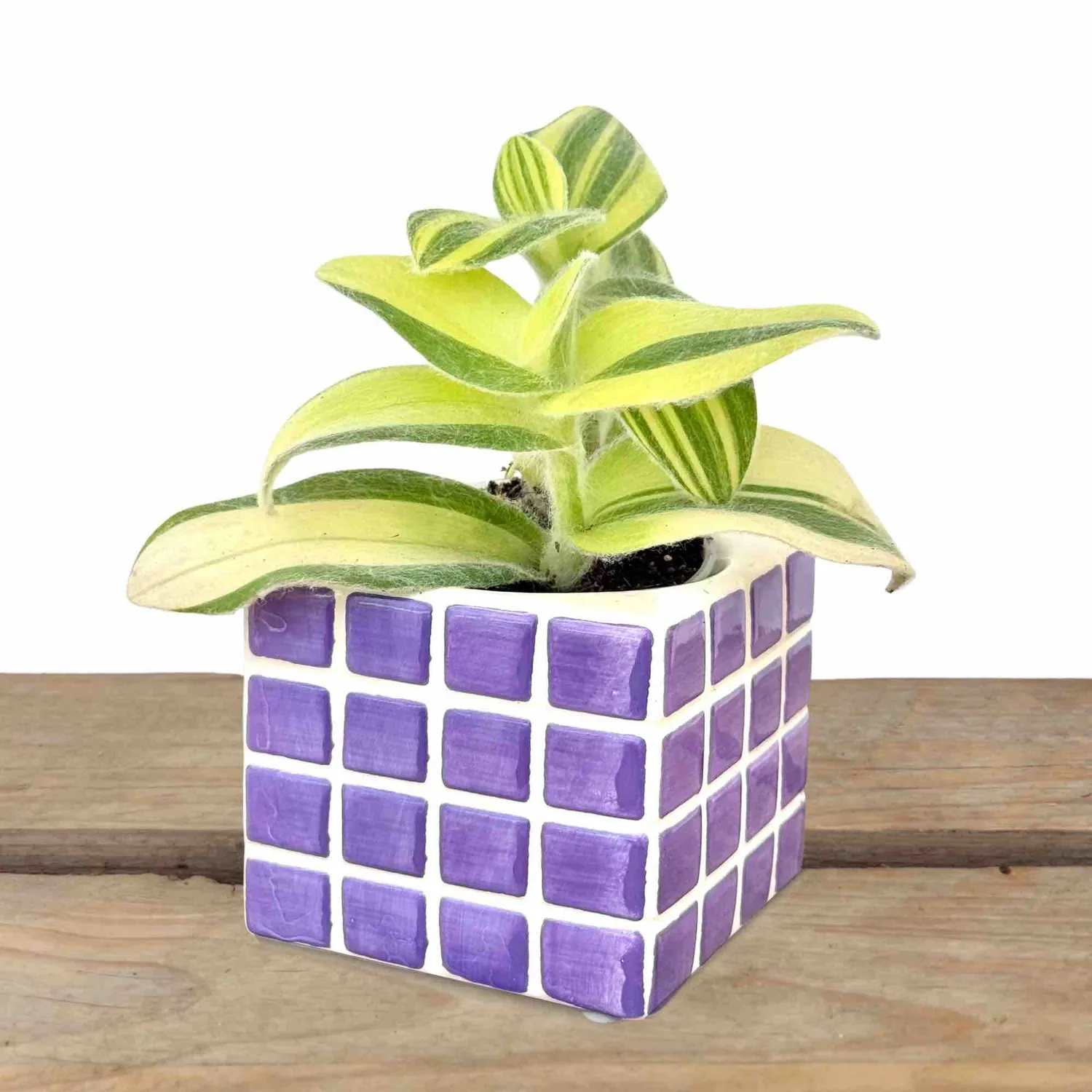 Plant and Stories lot 3 cache-pots Pixel céramique intérieur 6 cm
