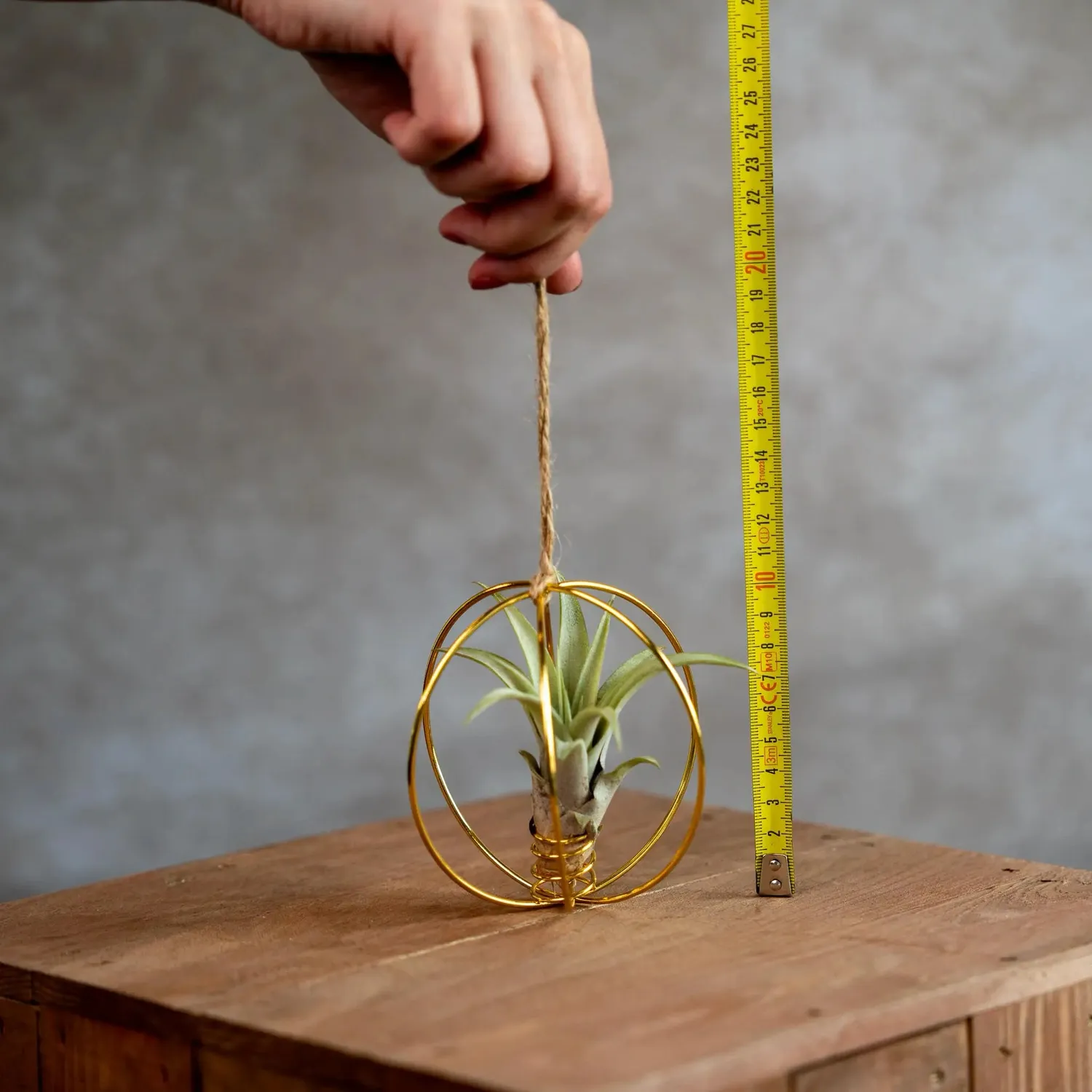 Airplantshop X-Mas Ball boule noldore plante arienne