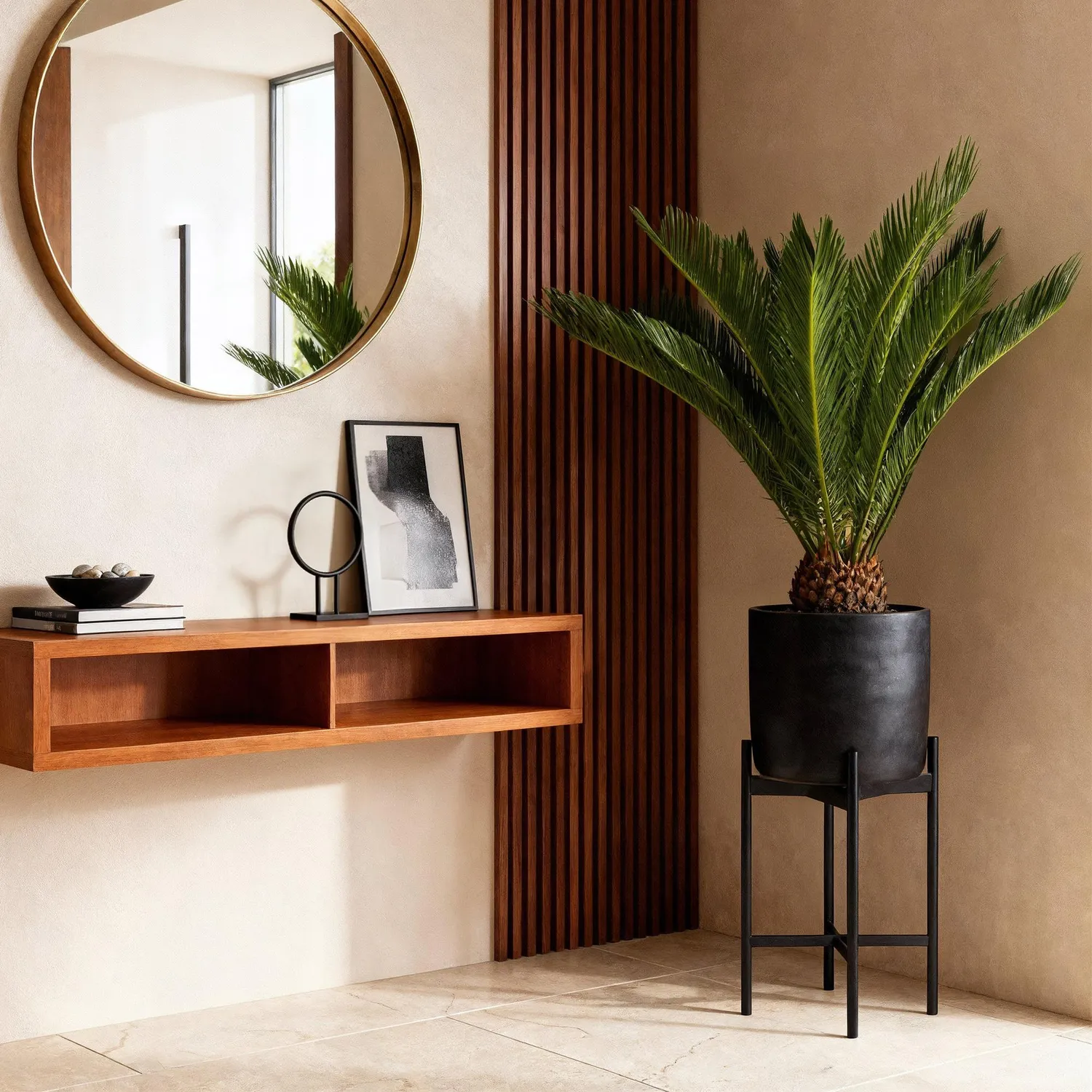 Plant and Stories Cycas Revoluta palmier 1 plante 17cm