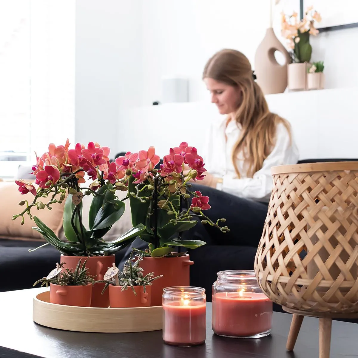 Plant and Stories Phalaenopsis Congo orchidée duo 2 pots 9 cm rouge