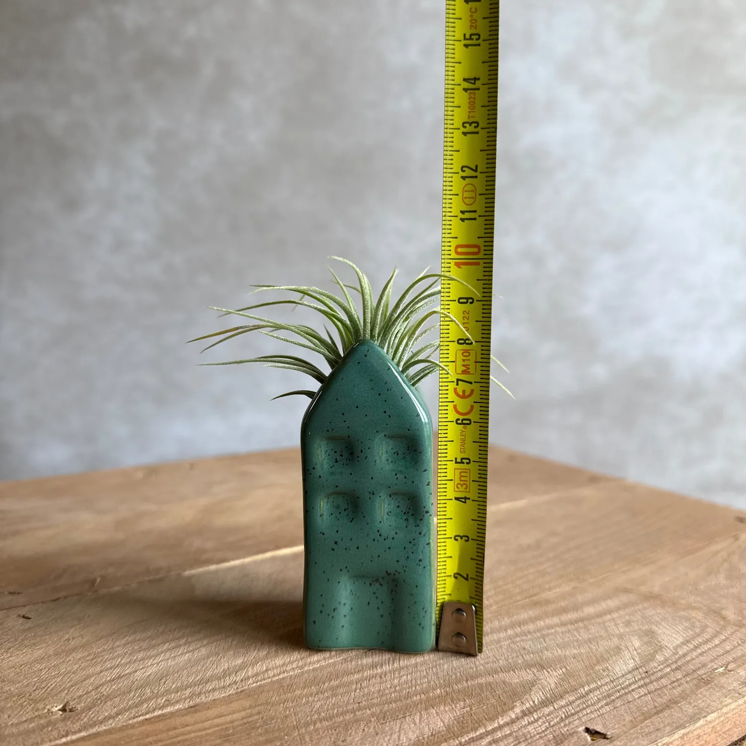 Airplantshop maison miniature Grachtenpandje Tillandsia bleu