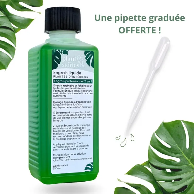 Plant and Stories engrais liquide plantes intérieur 250ml