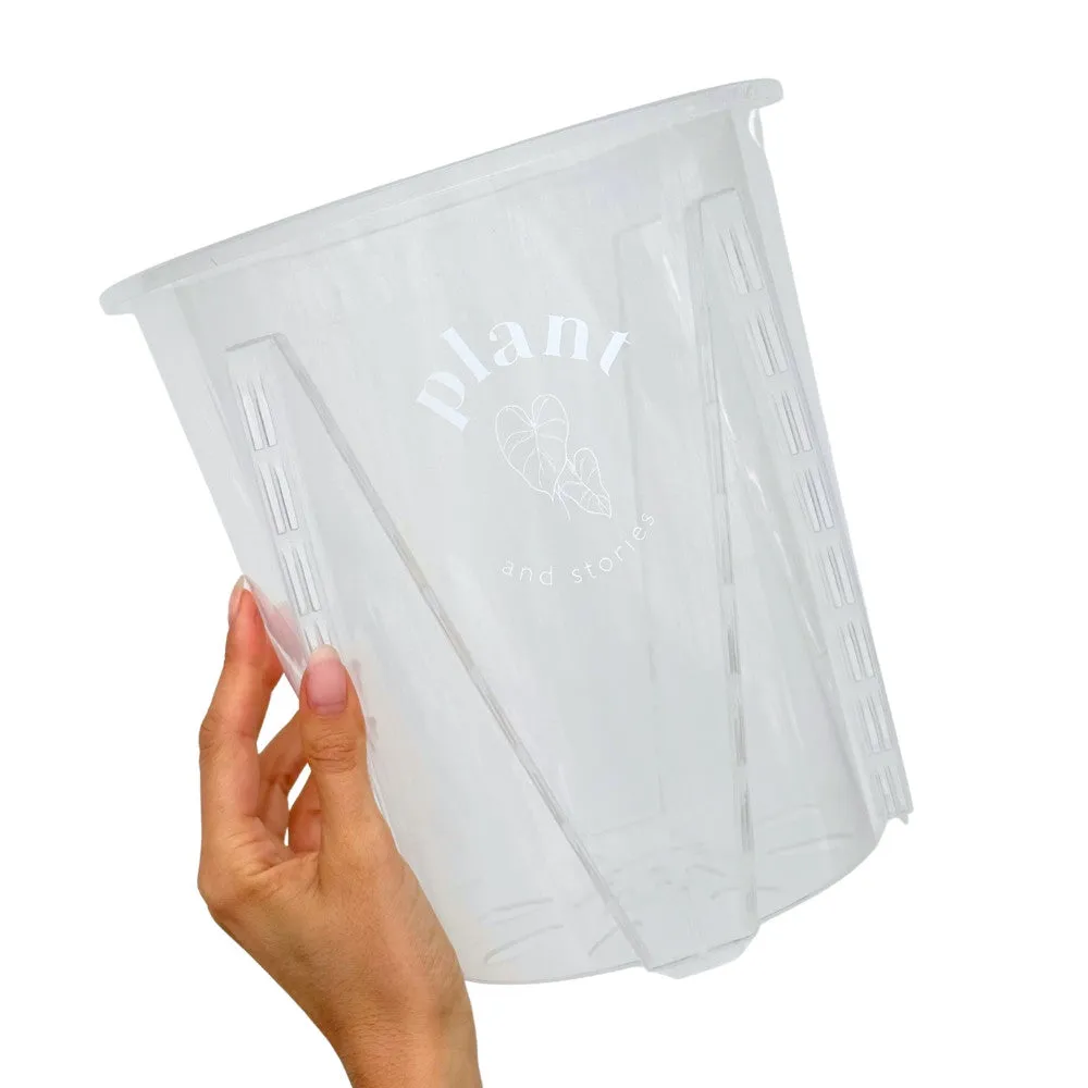 Plant and Stories Pot Aracées Transparent pot culture 10cm drainant