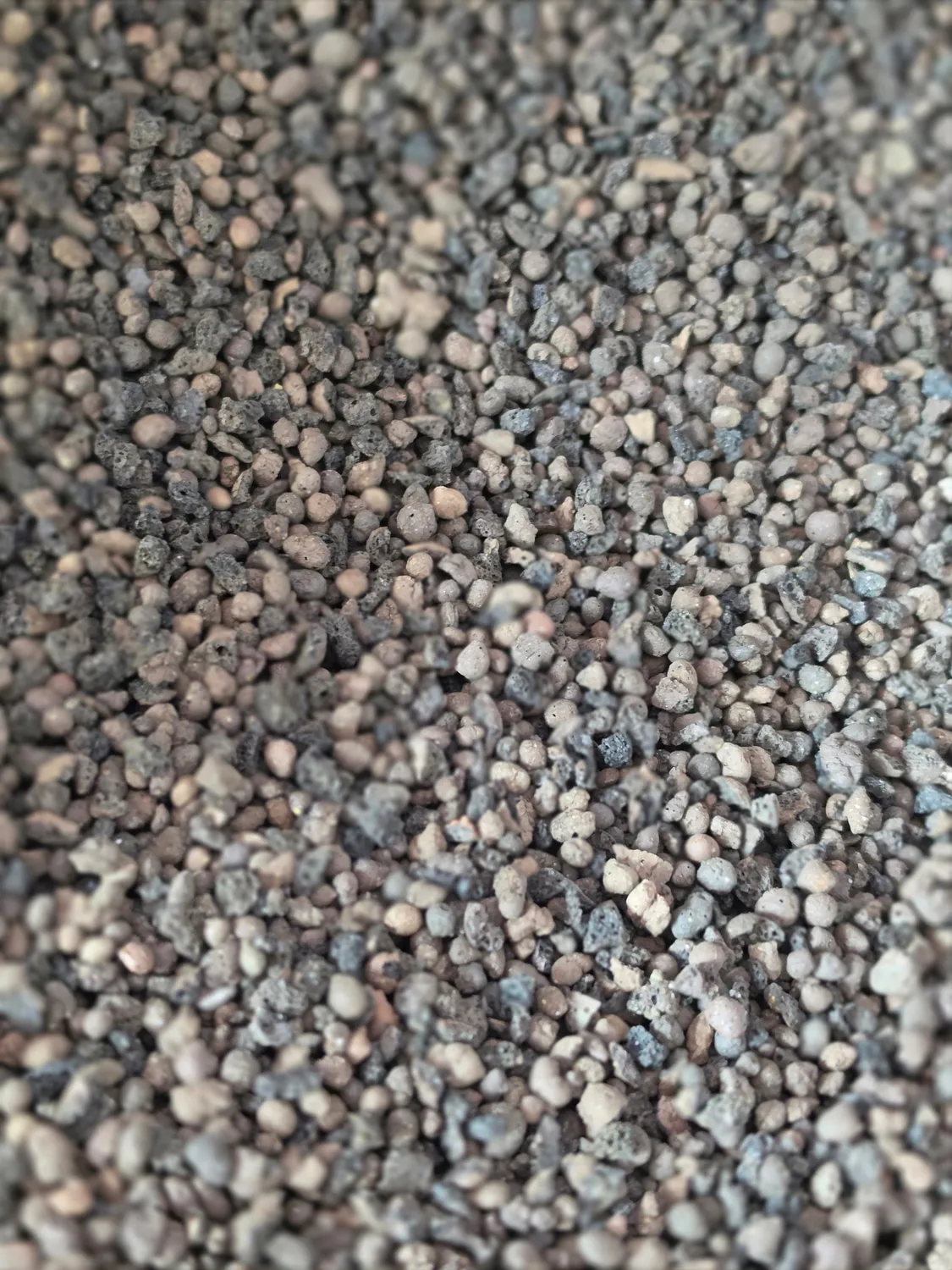 plant.ess Mini LECA 1-3mm billes d'argile 1L drainage