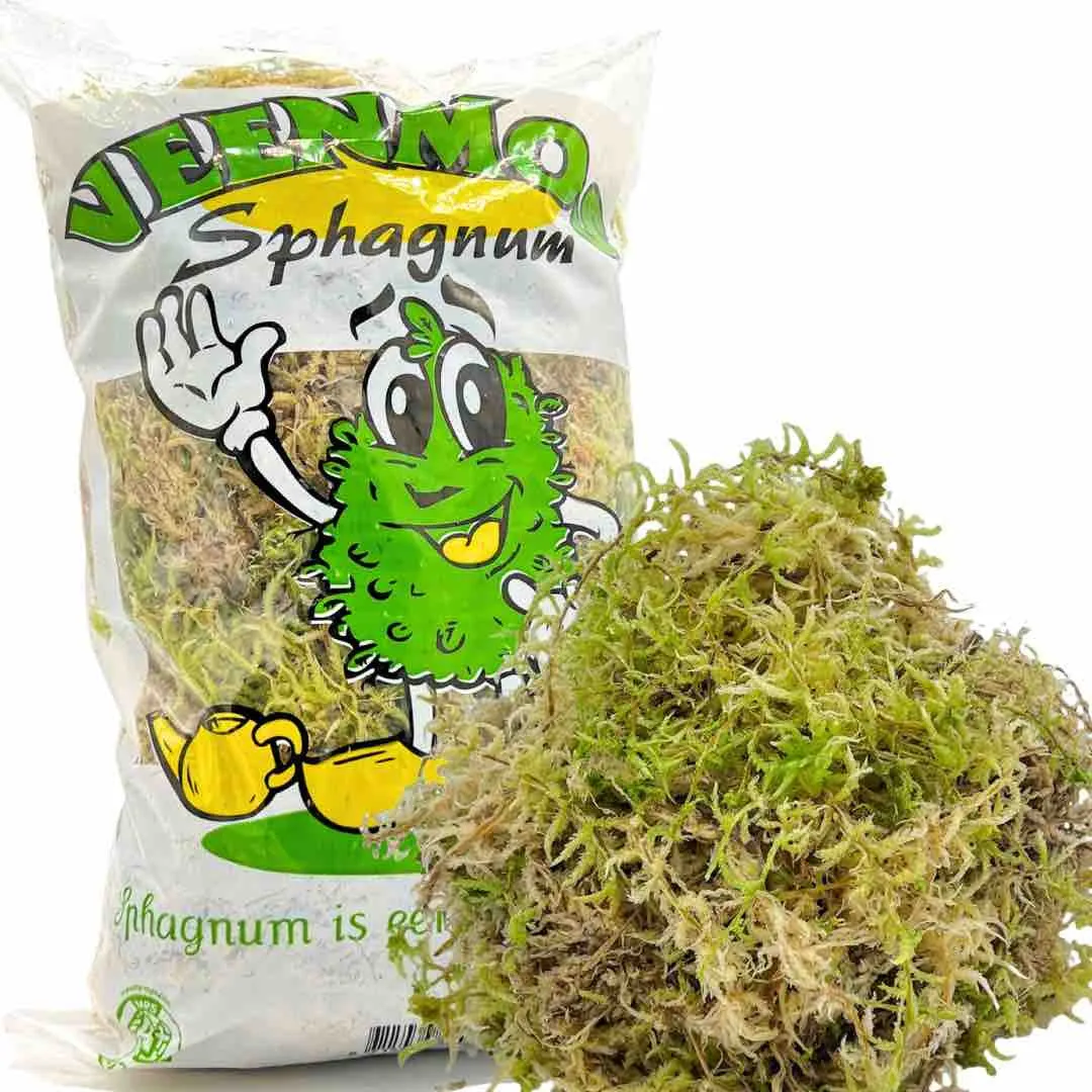 Plant and Stories Plant Addict sphaigne vivante 3 sachets naturel