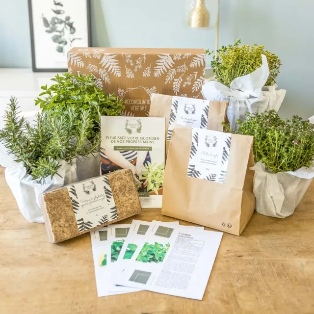 Réconciliation Végétale Kit Sèches aromatiques kit jardinage 4 plantes