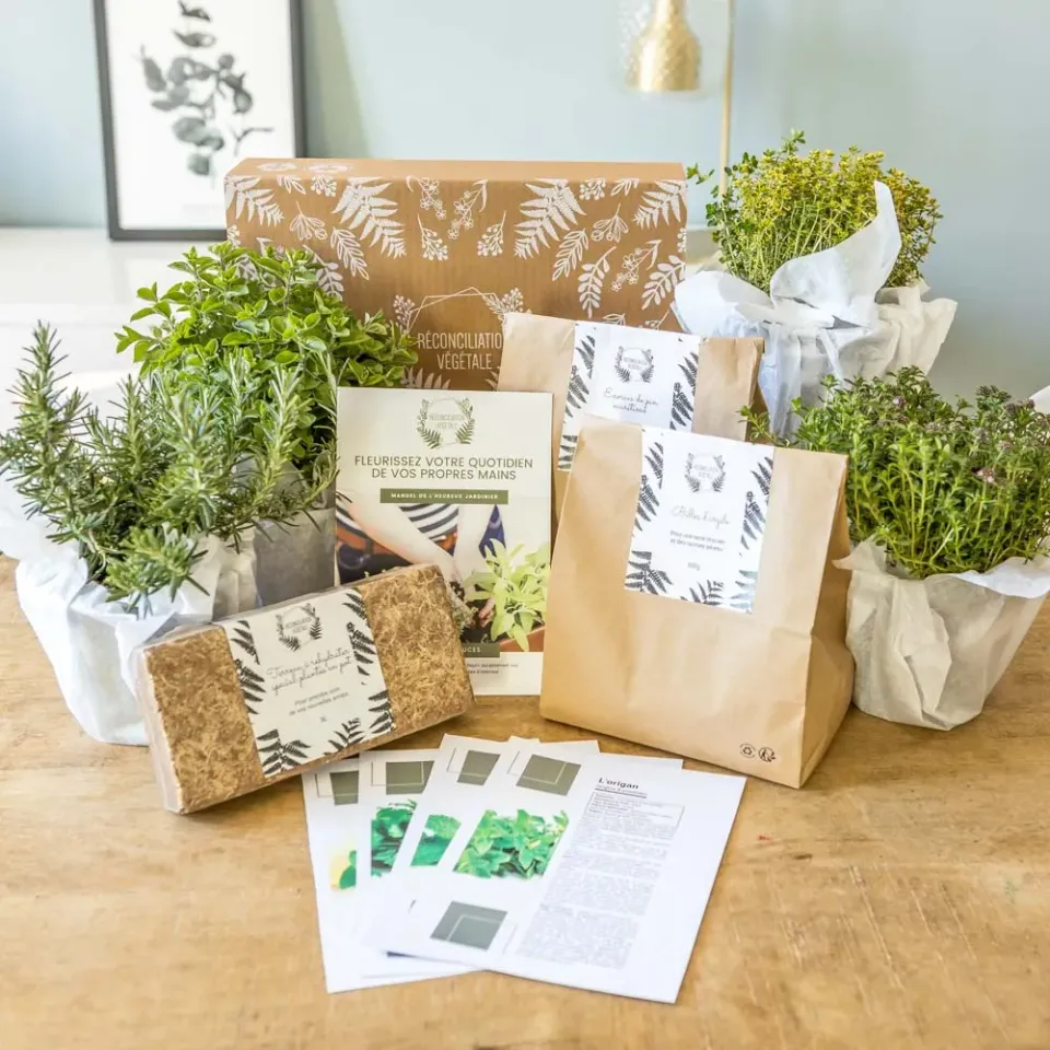 Réconciliation Végétale Kit Sèches aromatiques kit jardinage 4 plantes