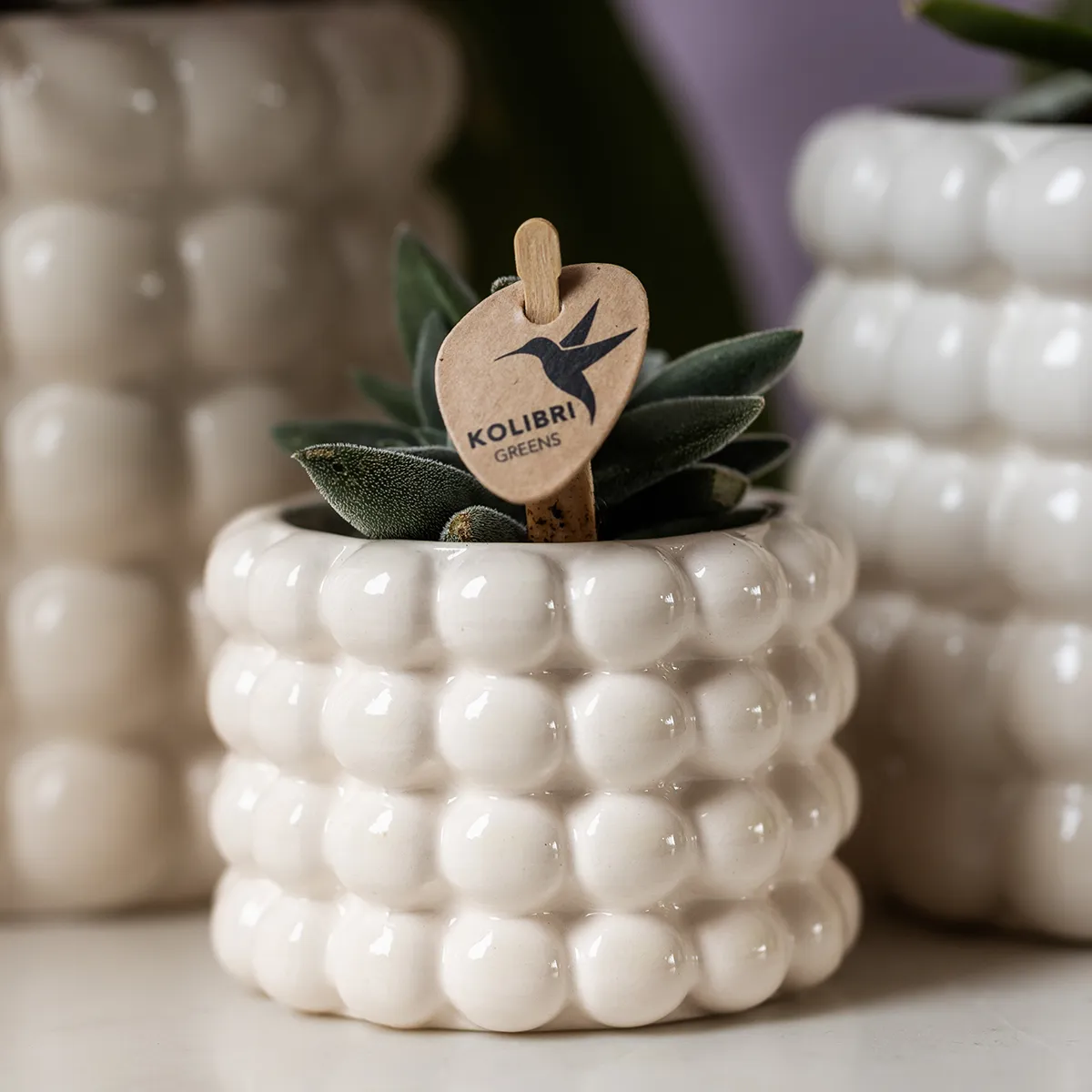 Plant and Stories Poppy cache-pot céramique 6 cm blanc