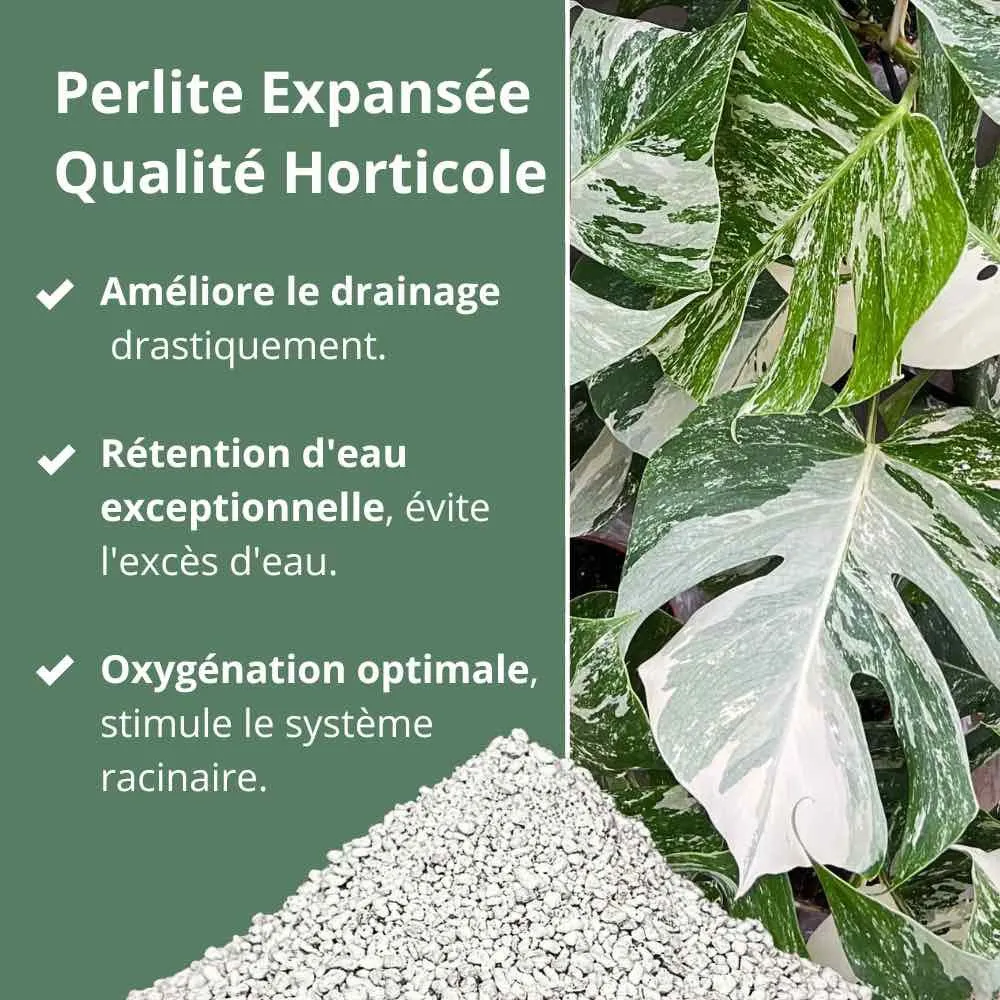 Plant and Stories perlite horticole substrat drainant 4L