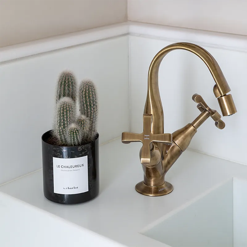 By Charlot Le Chaleureux cactus cierge XS pot 8 cm