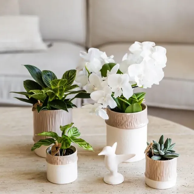 Kolibri Bamboo cache-pot céramique 9 cm sable