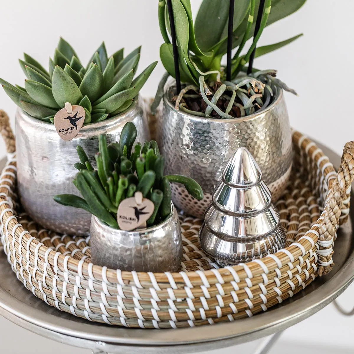 Plant and Stories Elite cache-pot céramique 9 cm argenté brillant