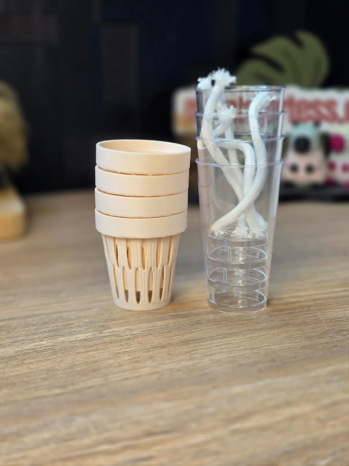 plant.ess Mini Sips pots auto-arrosants lot 4 transparents