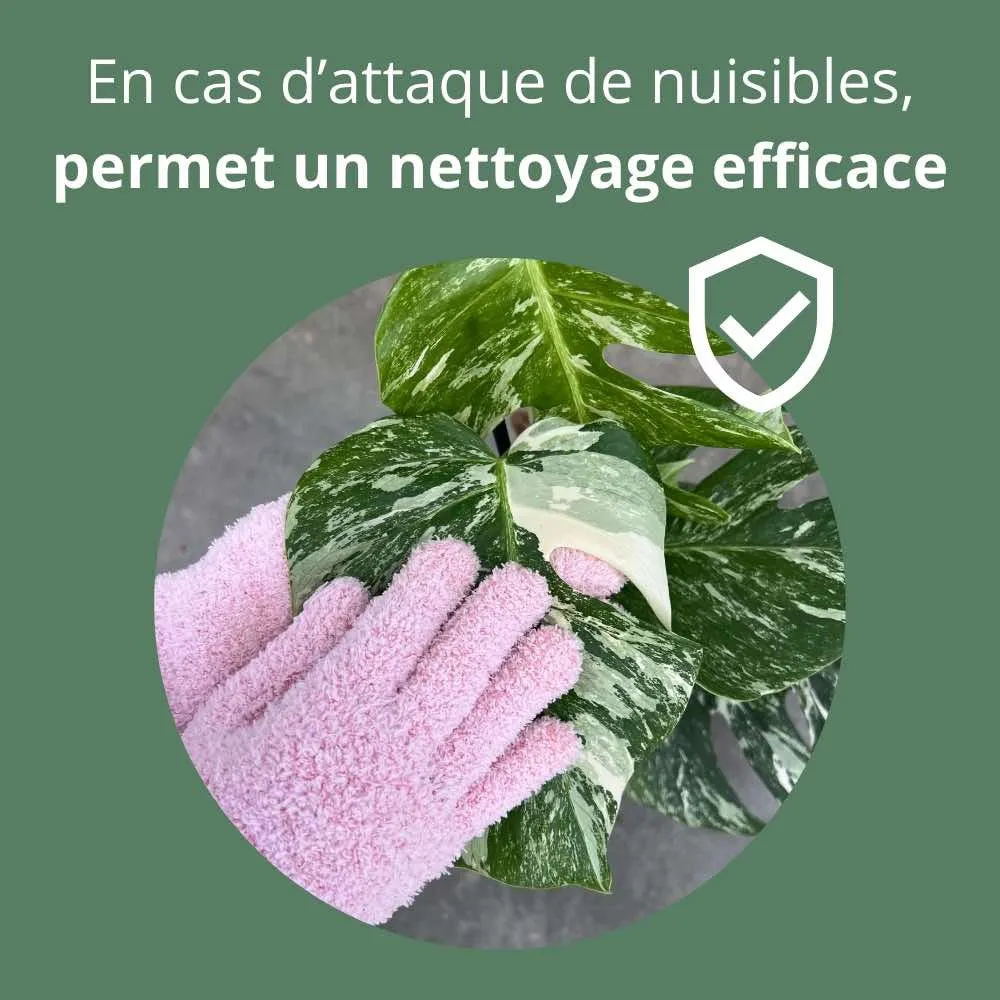 Plant and Stories Gants Nettoyage Plante Microfibre Anti-calcaire Rose