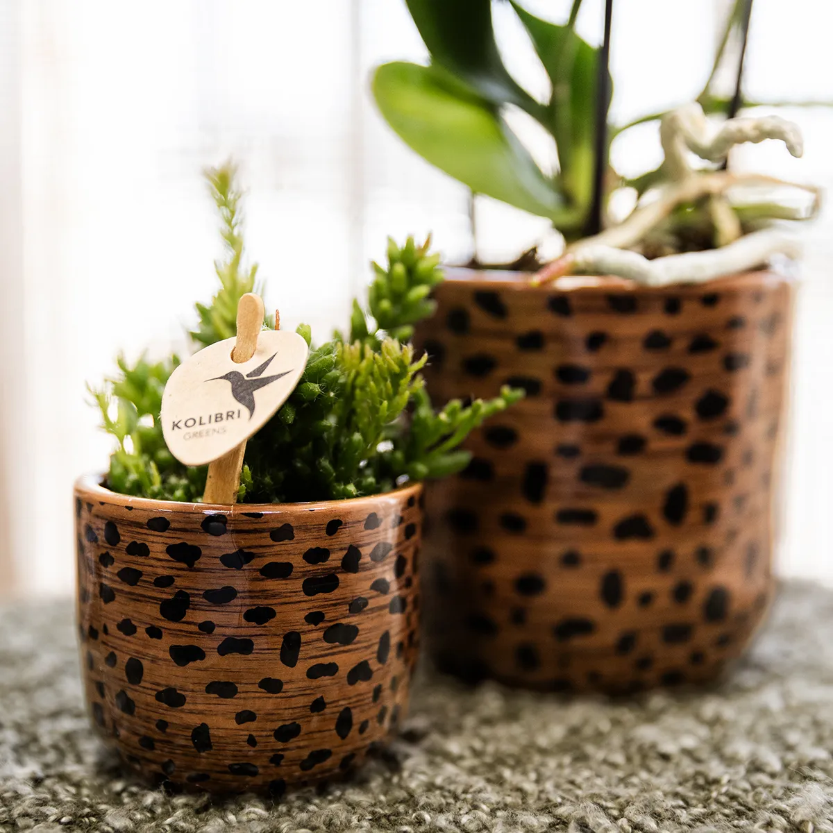 Plant and Stories cache-pot céramique léopard 9 cm