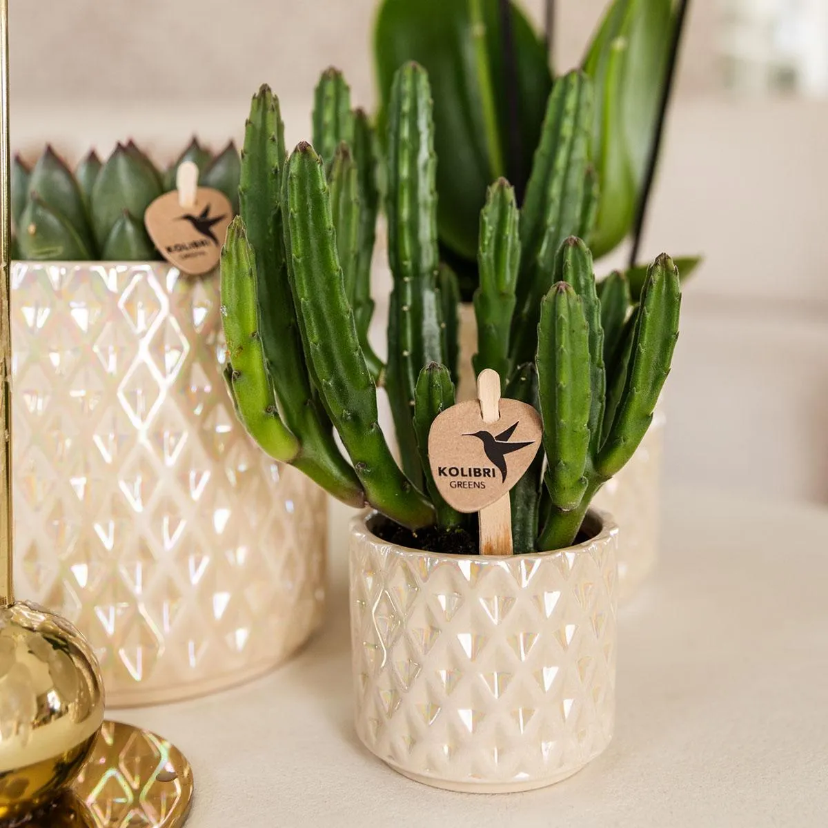 Plant and Stories Diamond Pearl cache-pot céramique 9 cm sable