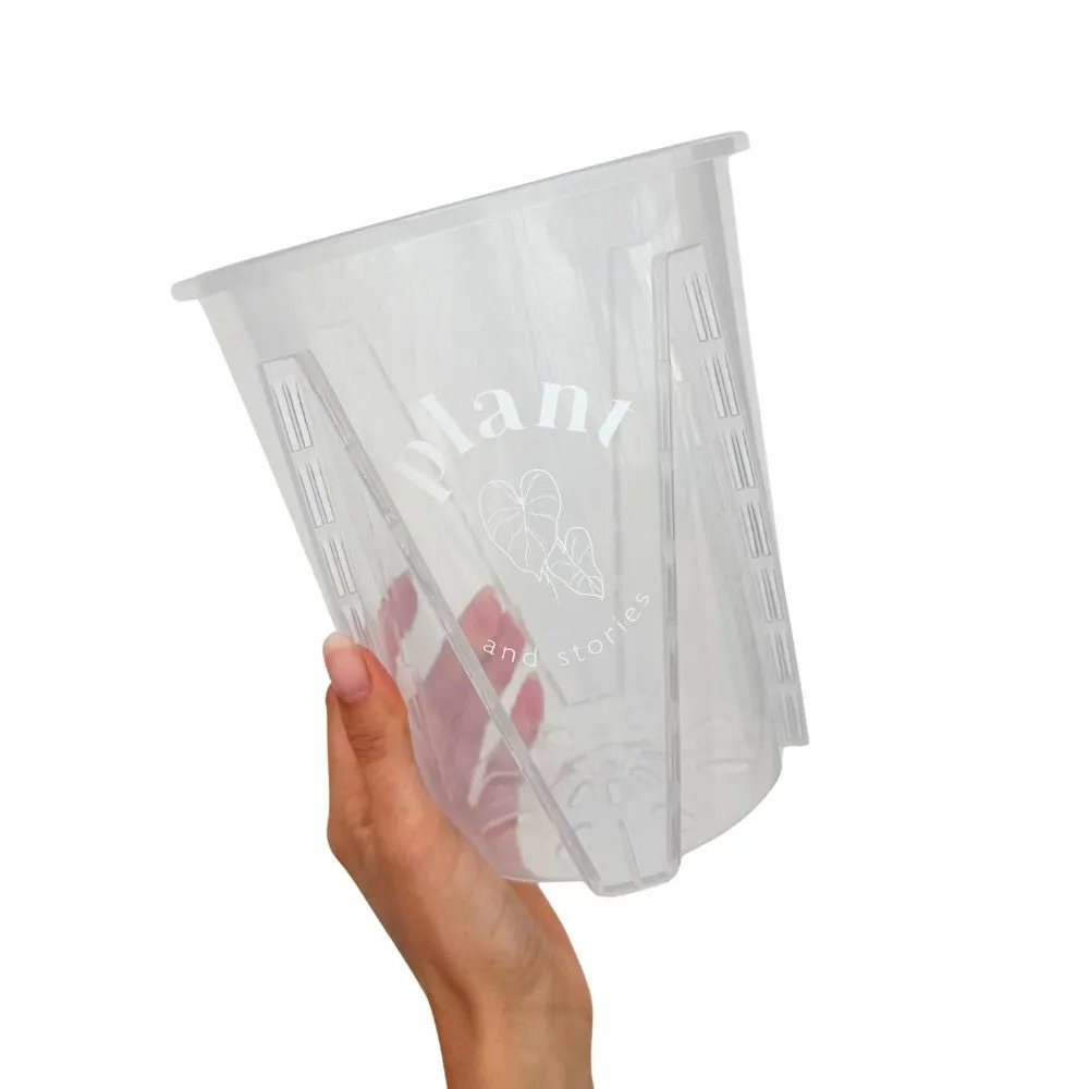 Plant and Stories Pot Aracées Transparent pot culture 10cm drainant