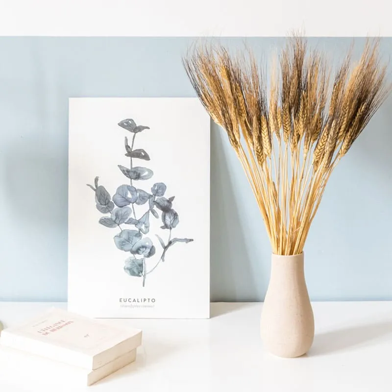 Réconciliation Végétale Blé Barbu bouquet séché 250g naturel