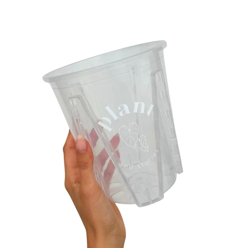 Plant and Stories Pot Aracées Transparent pot culture 10cm drainant