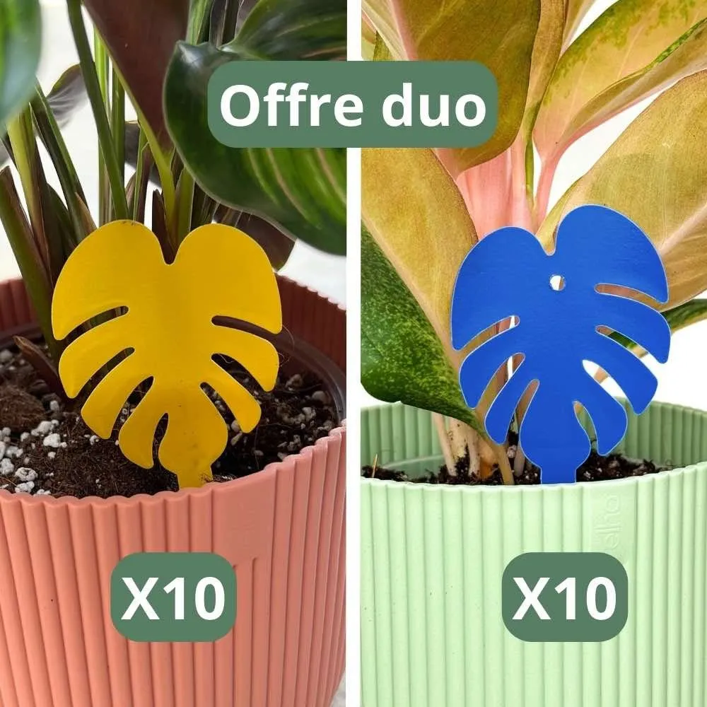 Plant and Stories Duo pièges chromatiques anti-nuisibles 2 couleurs
